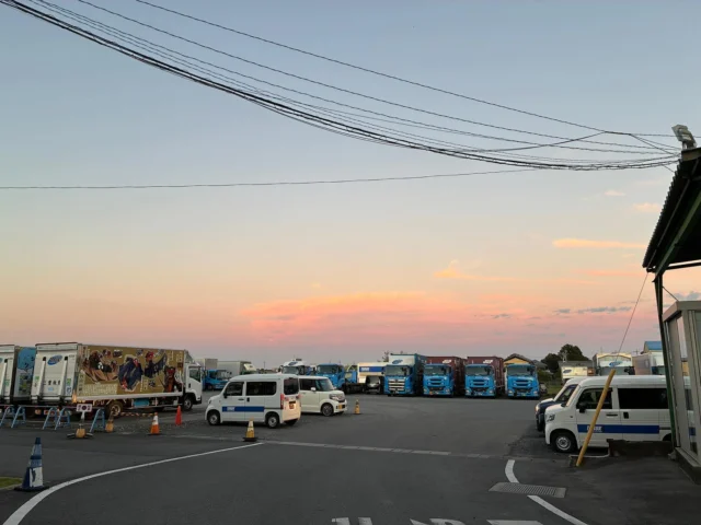 みなさんお疲れ様です🎈

11月になりました！
朝晩の空気がひんやりしてきて、秋らしくなってきましたね🍁
日が落ちるのも早くなり、夕方にはきれいな夕日が見られるようになってきました🌇
私は夕日を見るのが好きなので、よく写真を撮っています。
1枚目はこの前の退勤時に撮った写真です🤳
きれいな夕日がトラックを照らしていてとっても素敵でした🌟

社内では11月の装飾も飾り付けました！
ぜひ秋のあたたかい雰囲気を感じていただければうれしいです☺️

今月も安全第一で頑張っていきましょう🤝🏻
今日も一日ご安全に🫡

#三重 #三重執鬼 #三重トルキ #三重執鬼株式会社 #三重トルキ株式会社 #トルキ #鈴鹿市 #鈴鹿 #三重県鈴鹿市 #物流 #運送 #運送業 #トラック #トラックドライバー #倉庫 #倉庫業 #サステナブル #サステナブル経営 #サステナブル経営アワード #sdgs #新卒募集 #中途入社大歓迎 #秋 #夕日 #夕日がキレイ #11月 #11月装飾